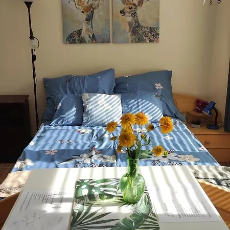 Fenyves-lak Appartement